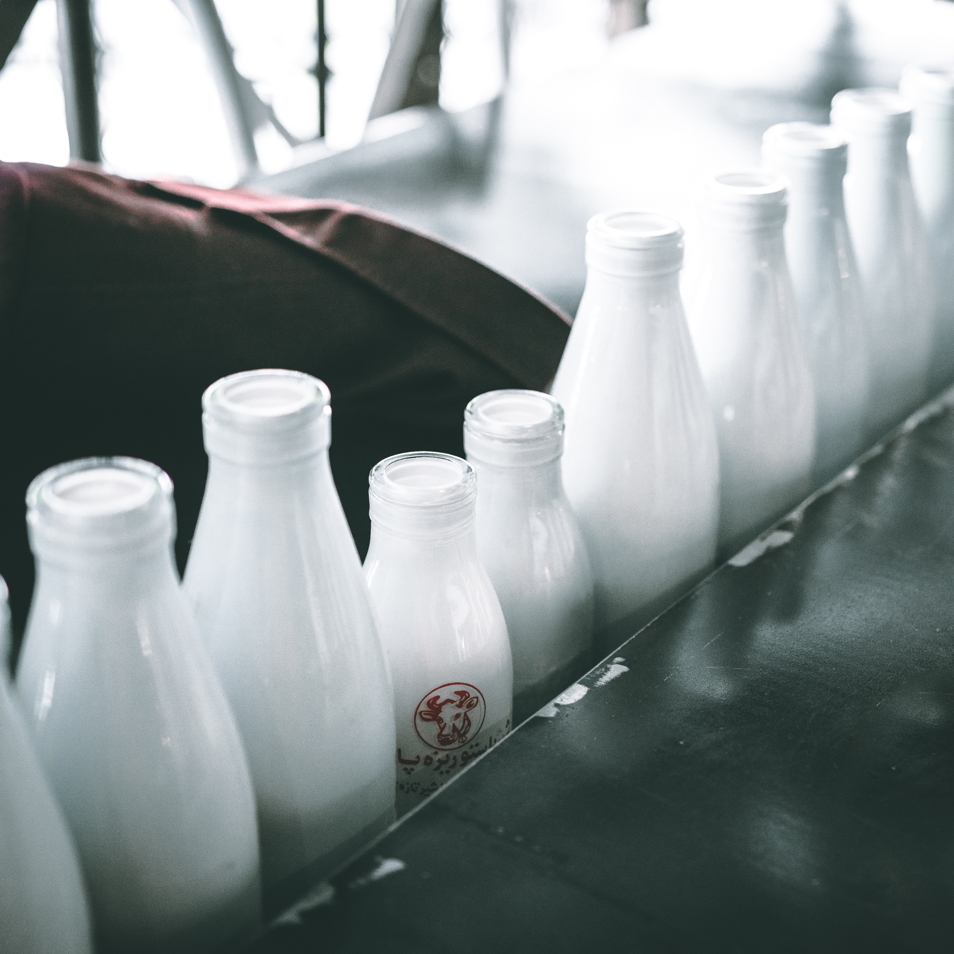 FAQ – What’s wrong with consuming dairy and eggs?