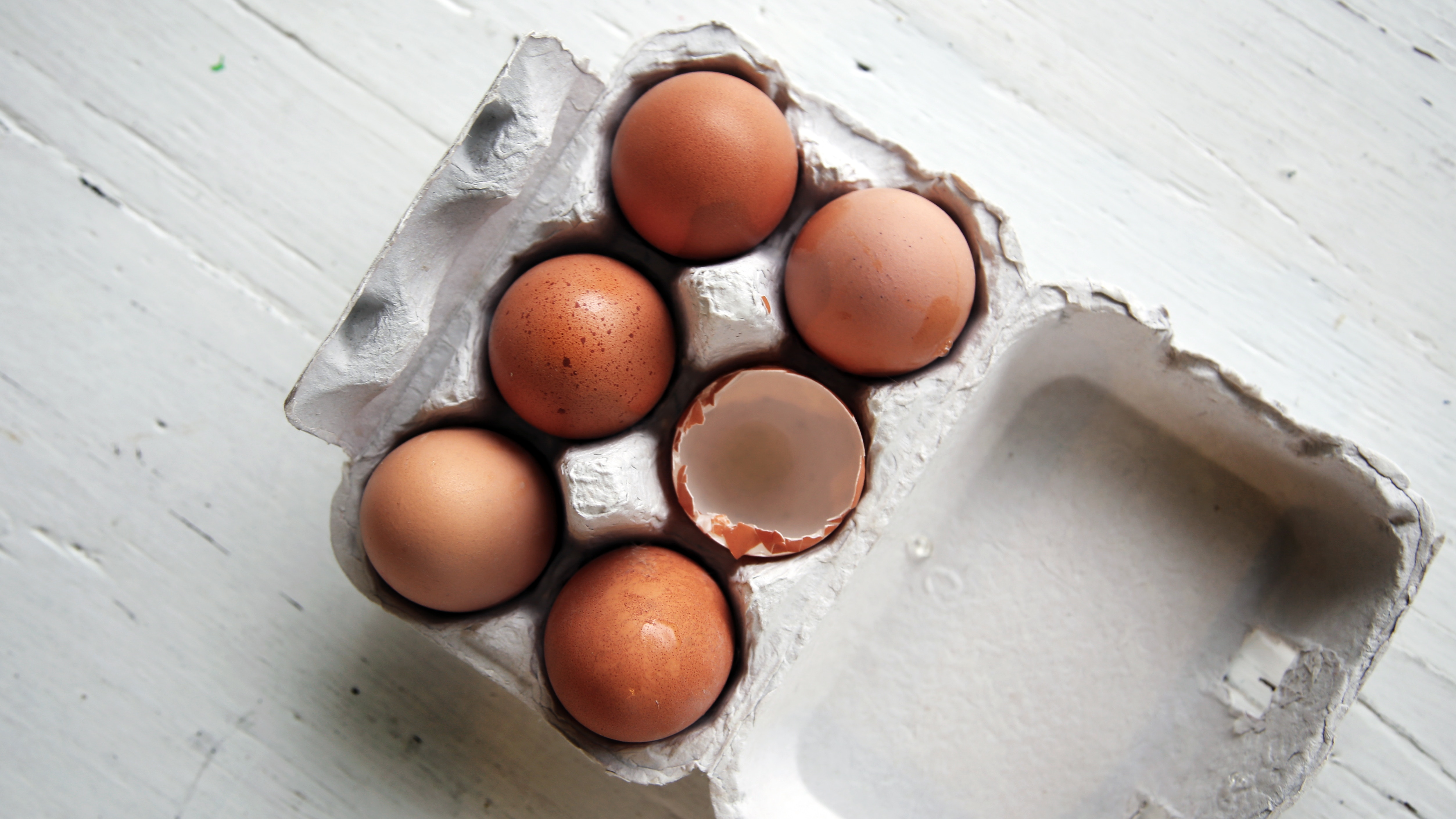 FAQ – Isn’t it okay to eat eggs from free ranged hens?