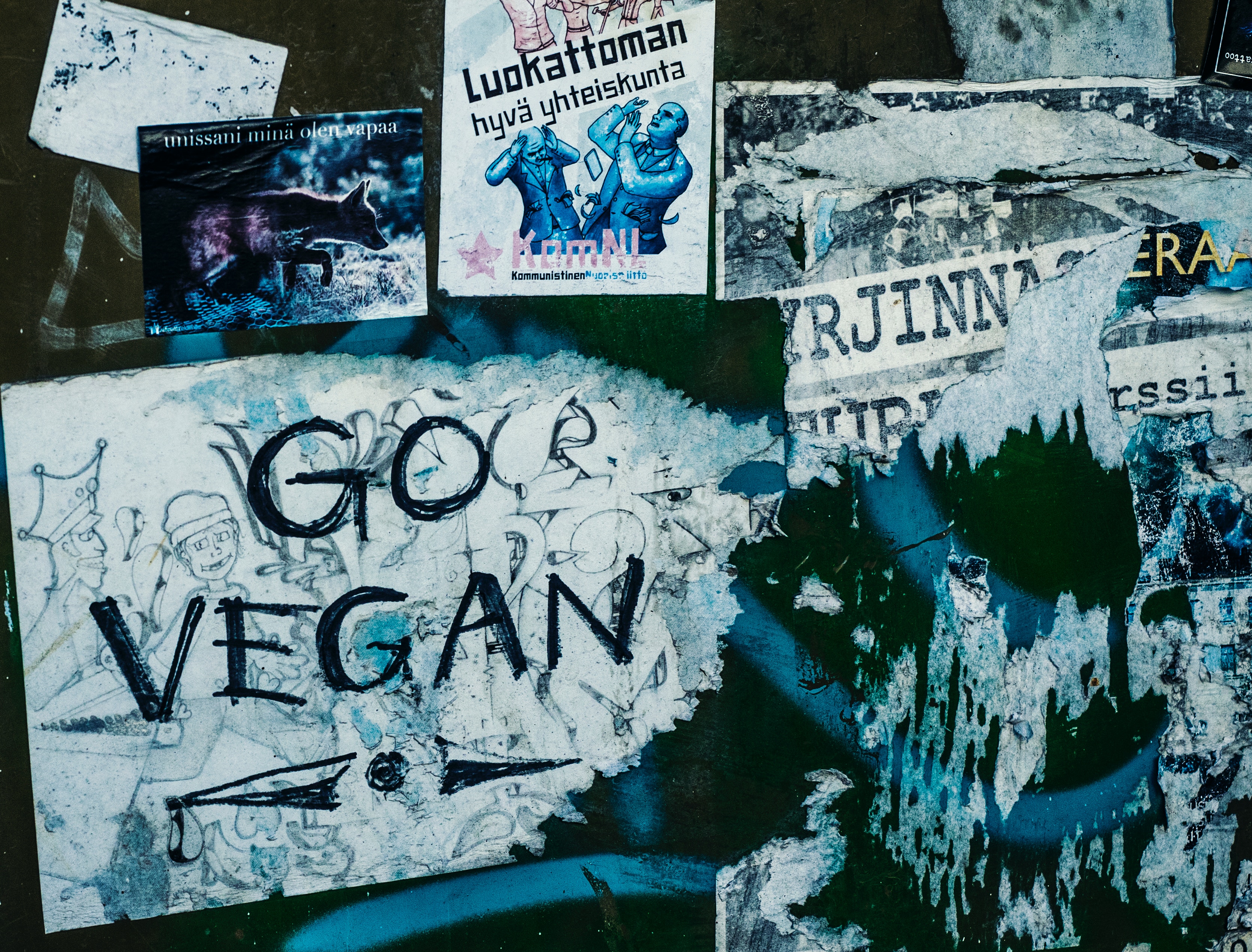 FAQ – How can I help spread the vegan message?