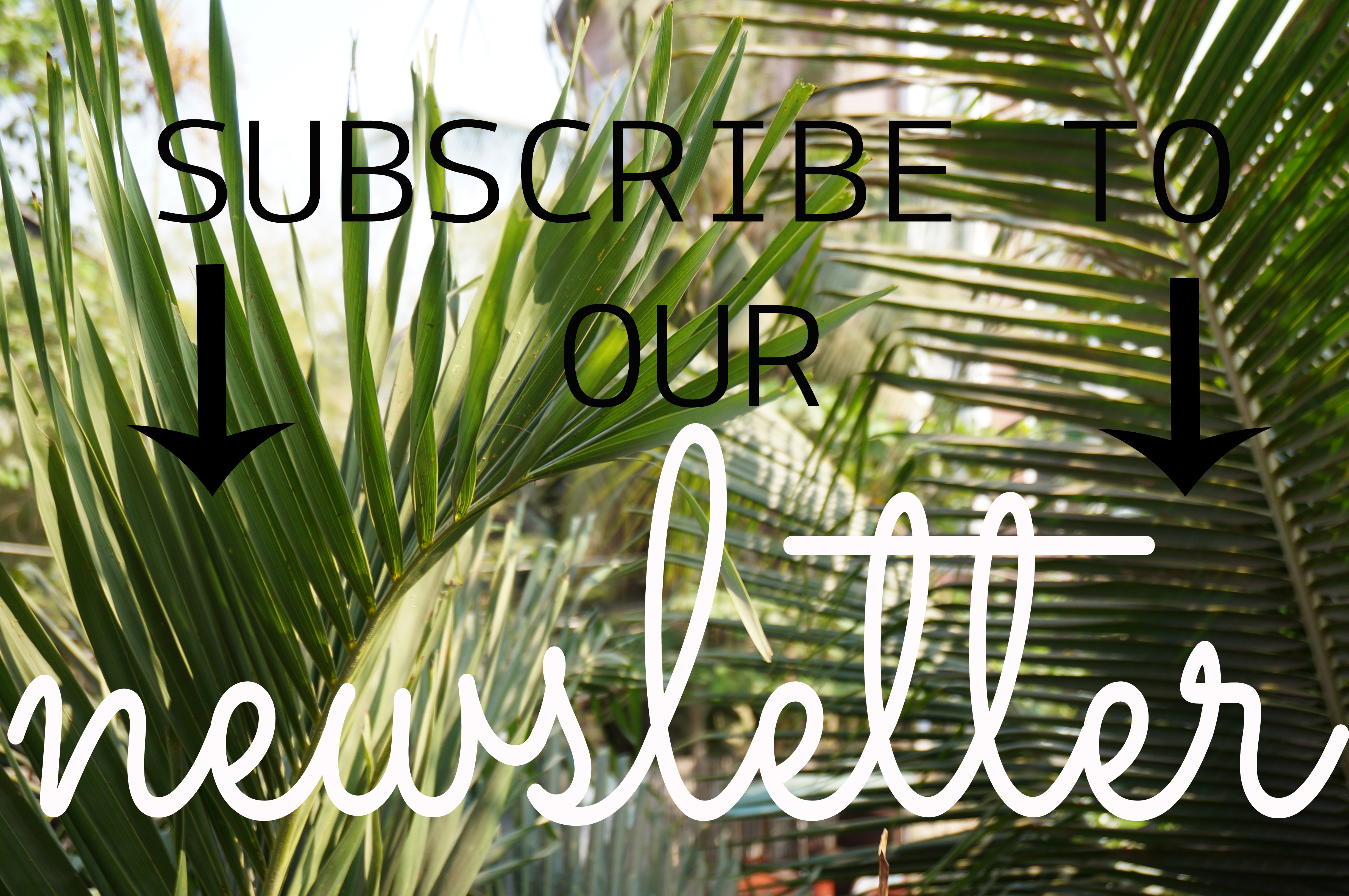 subscribe to my newsletter